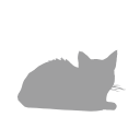 House Cat Feline Silhouette