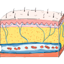 Edema Fluid Retention 1