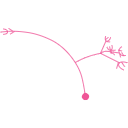406 Asb Drosophila Neuron 1