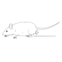 106 Mouse Fat Running