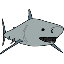328 Shark Jjw Bylo