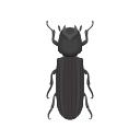 Icon African Horned Wood Borer