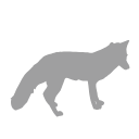 Fox Silhouette Vector
