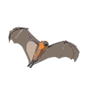 Fruit Bat Nocturnal Vector