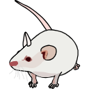 326 Mouse 7i Xb If C