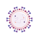 Icons Respiratory Syncytial Virus