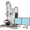 Tem Tomography Free Illustration