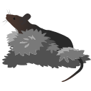 86 Mouse Hiding