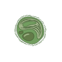 Bathycoccus Prasinos