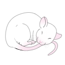 598 Sleeping P20 Rat