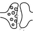 52 Syn Basic