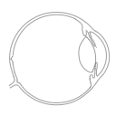 166 Human Eye Schematic