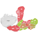 429 Asb Mushroom Body Compartments