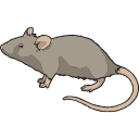 Lab Mouse Brown Svg