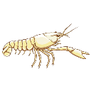 Crayfish