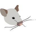 8 Mouse Head