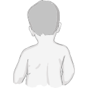 Free Scientific Illustration Child Back
