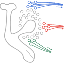363 Calyx Inputs
