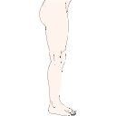 Lower Limb Anatomy 1
