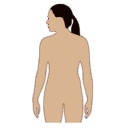 Free Scientific Illustration Humane Femlae Outline Type 2