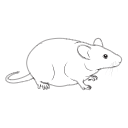 109 Mouse Fat