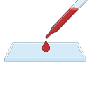 Blood Drop On Slide