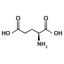 Glutamate