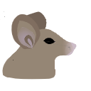 497 Mouse