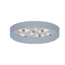 Petridish
