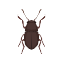 Icon Areca Nut Weevil