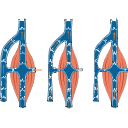 Venous Blood Flow 1