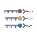 Antibody Rna Binding