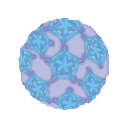 Icons Rhinovirus
