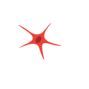 Astrocyte Red