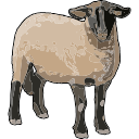 Sheep Farm Animal Svg