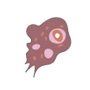 Naegleria Gruberi