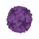 Icons Dengue Virus