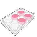 6 Well Plate Free Illustration