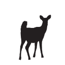 Deer Black Silhouette Vector