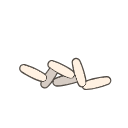 Free Scientific Illustration Of Sandfly