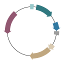 Plasmid