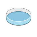 531 Petri Dish Color