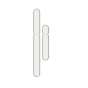Free Scientific Illustration Download Of Xy Chromosomes