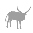 African Cattle Livestock Svg