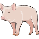 Pig Farm Animal Svg