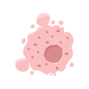 Apoptotic Cell