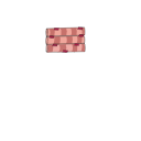 591 Muscle Fibers