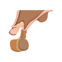 Icons Pituitary Gland