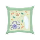 Plant Cell