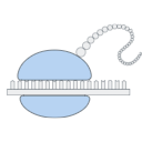 Free Scientific Illustration Of Ribosome